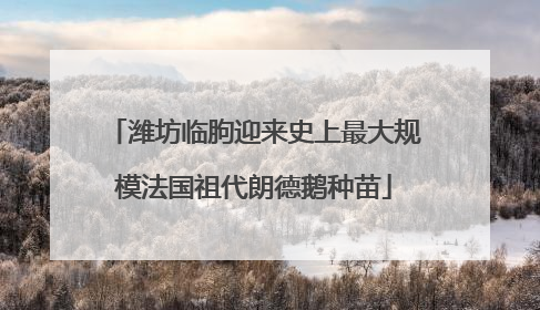 潍坊临朐迎来史上最大规模法国祖代朗德鹅种苗